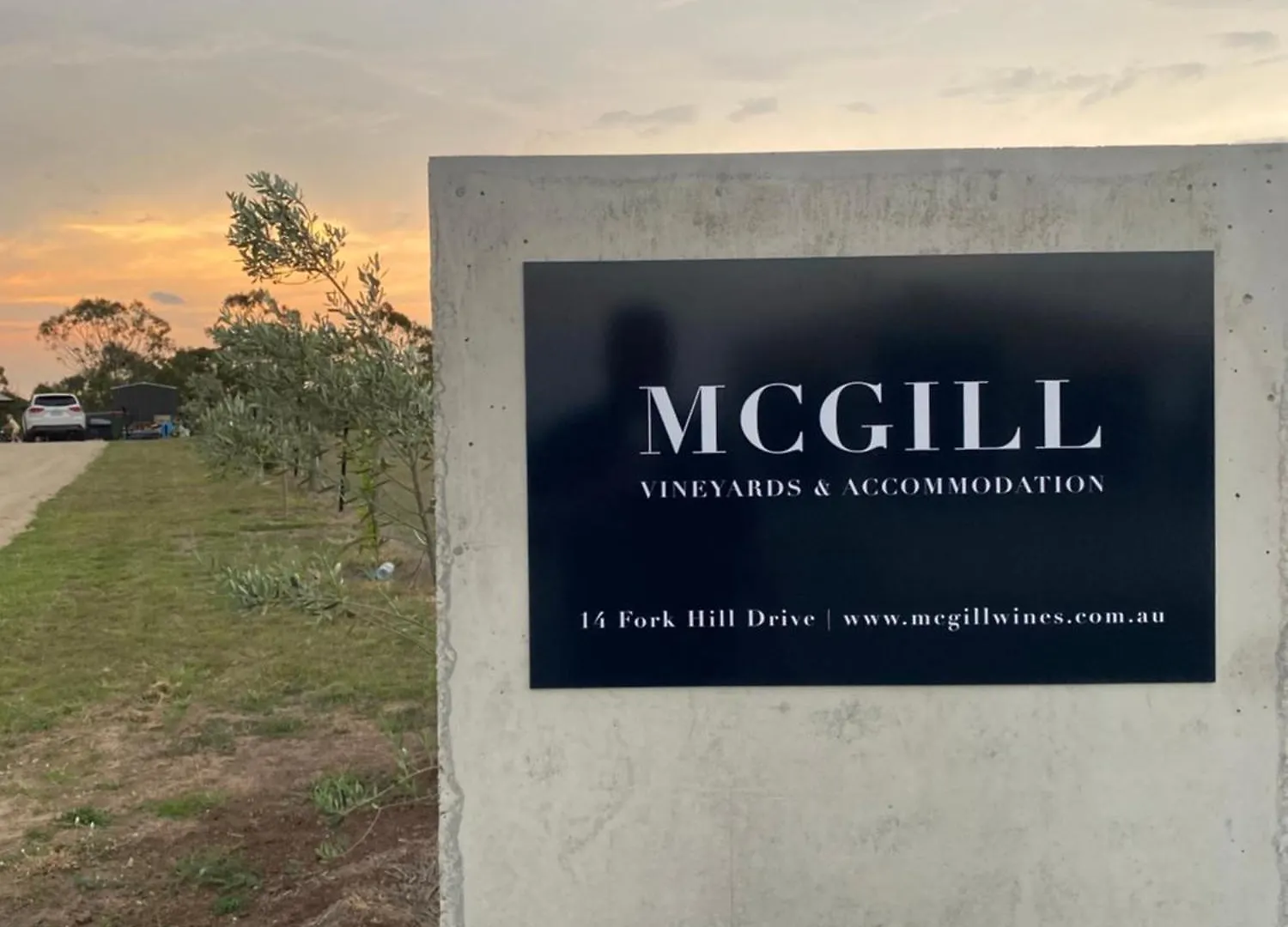 Mcgill Vineyard Moffatdale Villa Holiday home