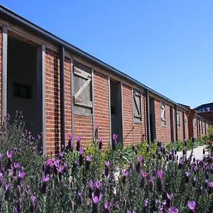 Resort Dusty Hill Vineyard -, Moffatdale